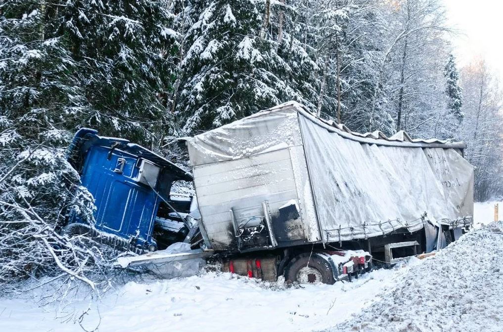 Steps to Take After Being Hit by a Sanitation Truck